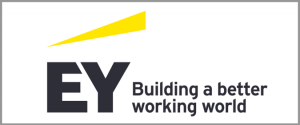 EY-Website